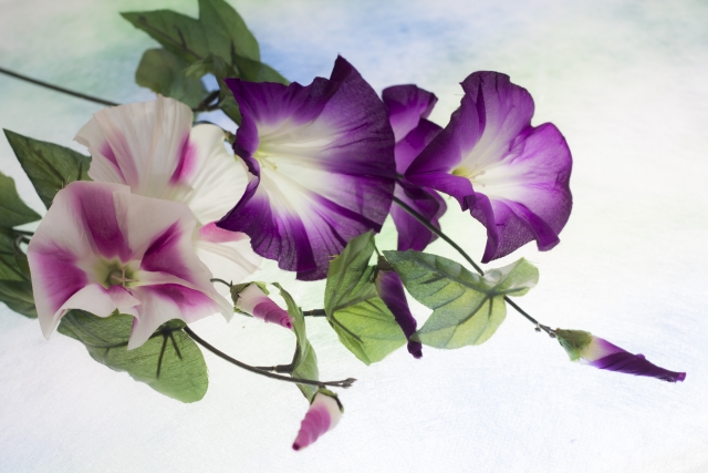 花柳友比佐日本舞踊教室